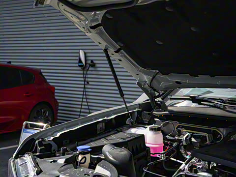 2025�� ɳ���ر�� ����