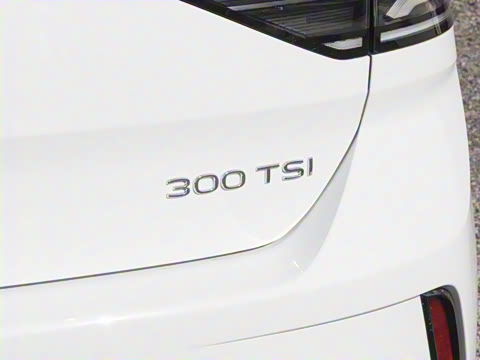 2025�� 300TSI DSG���������
