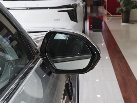 2025�� 2.0T ��������Pro��