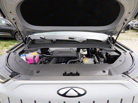 2025�� 120 �������������� 7�� ��Ԫ�