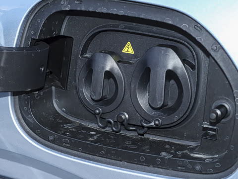 2025�� 310km �ഺ��