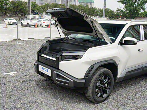 2025�� 501KM ����Max��