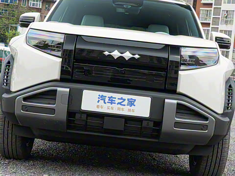 2025�� 501KM ����Max��