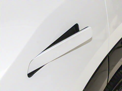 2025�� 520 Pro+ �����״��