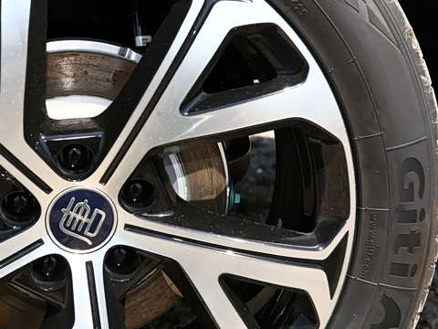 2025�� �Ǽݰ� DM-i 115KM �콢��