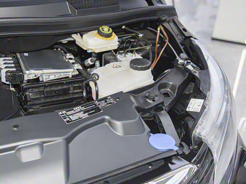 2025�� 2.0T ��; 7��