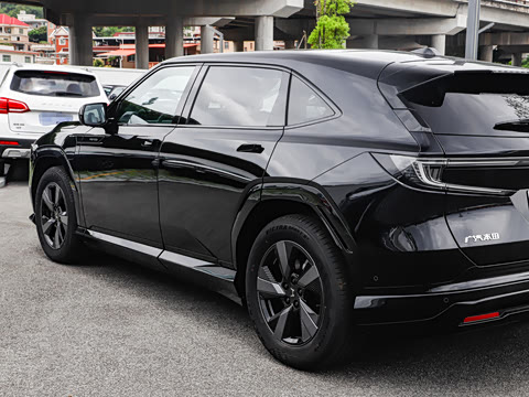 2025�� ����������Pro