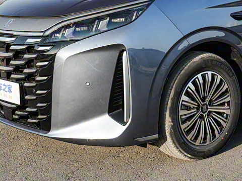 2025�� DM-i 1.5T 180km ��Խ��