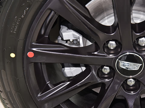 2025�� 28T �������ܰ�