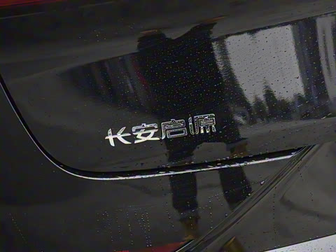 2025�� ��������� 515�����