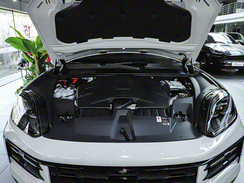 2025�� Cayenne 3.0T