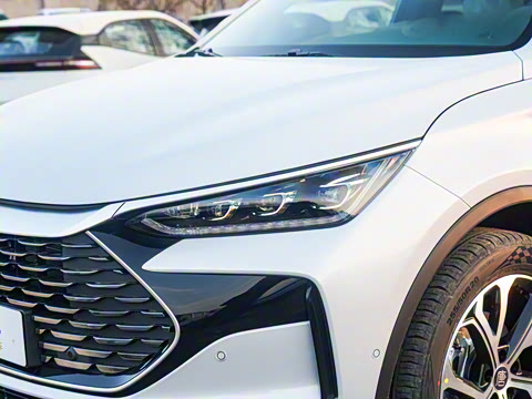 2025�� �Ǽݰ� DM-i 115KM ������