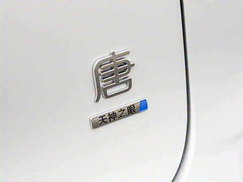 2025�� �Ǽݰ� DM-i 115KM ������