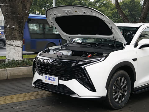 2025�� 1.5T ɽ�������� 7��