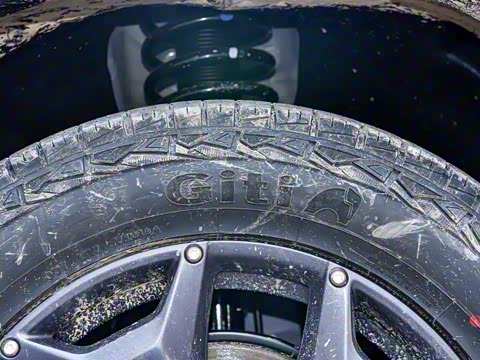 2025�� 2.0T DCT ����Ů��