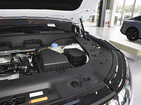 2025�� 210Ultra���Ȱ� 6��