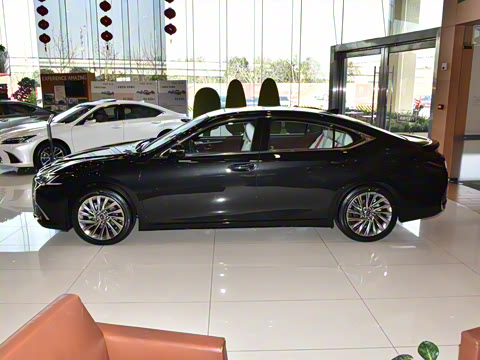 2025�� 300h ������