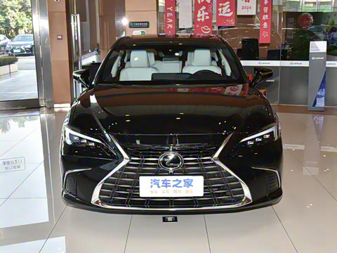 2025�� 300h ������