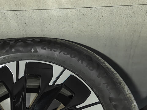 2025�� �������������