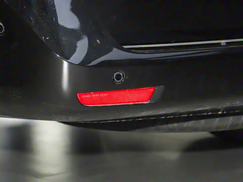 2025�� �������������