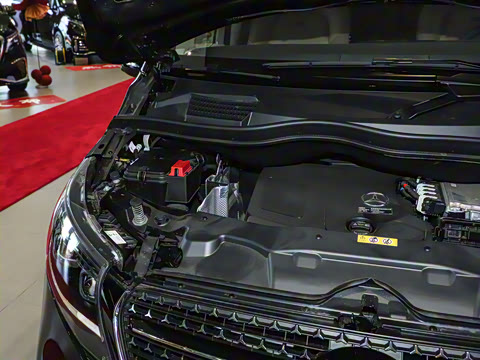 2025�� �����������վ�