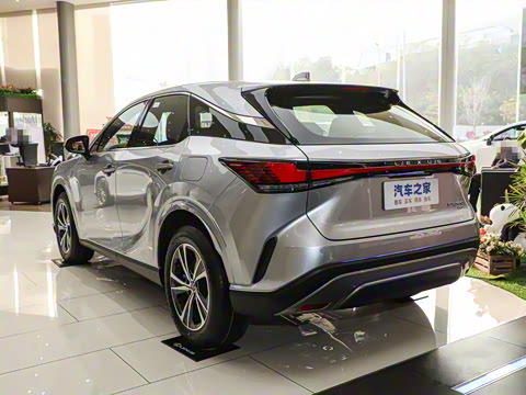 2025�� 300 ����������