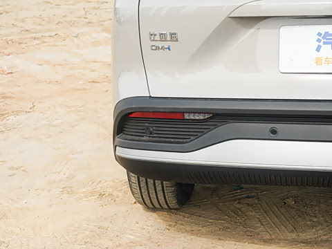 2025�� DM-i �Ǽݰ� 115KM������