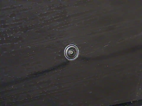 2025�� 510������