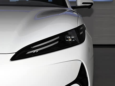 2025�� 520���а�