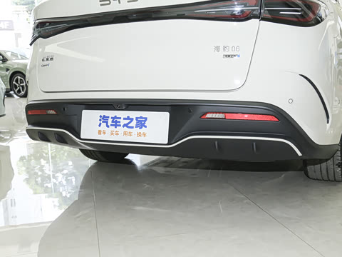 2025�� DM-i 80KM�����