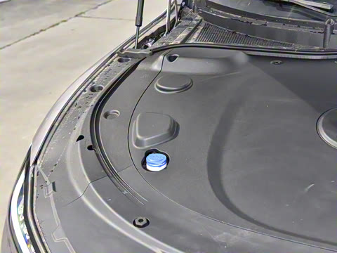 2025�� ��������� 625�콢��