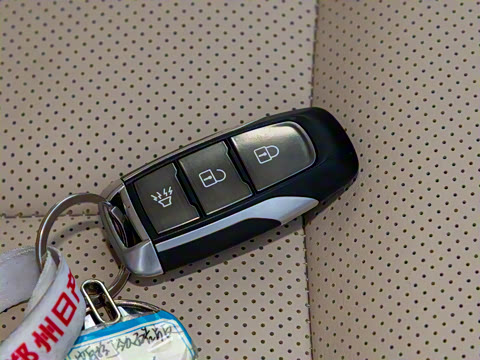 2024�� 2.0T ���������;����