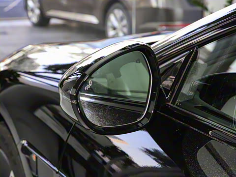 2025�� Max�����