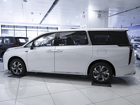 2025�� 2.0T �Ǻ�������