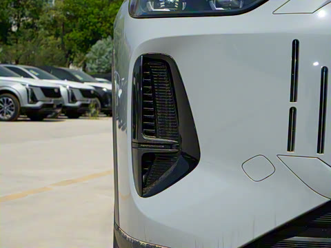 2025�� 120 �������������� 5�� ��Ԫ�