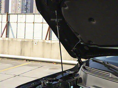 2025�� 165km ���������ж��ư� 5��