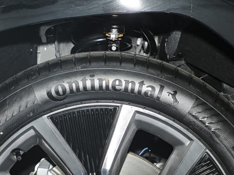 2025�� ����������Pro