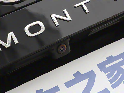 2025�� ;�� Pro 450TSI �����ݺ��