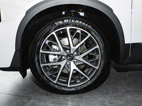 2025�� �캽ϵ�� 2.0TGDI ���������� 5��