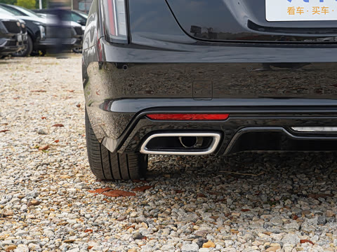 2025�� 28T �������ܰ�