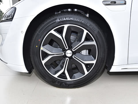 2025�� 705km Pro