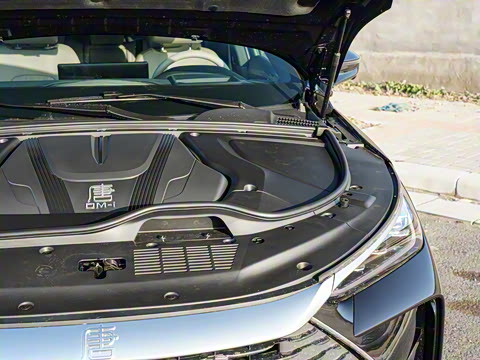 2025�� �Ǽݰ� DM-i 115KM �콢��