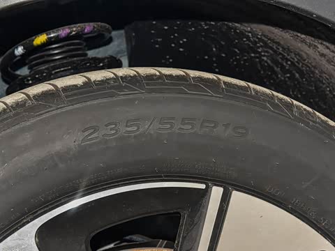 2025�� ������ ����������