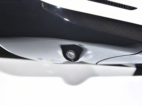 2024�� Max�����