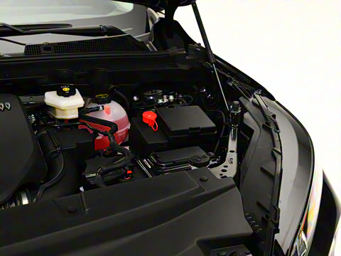 2025�� 25T �����׽��