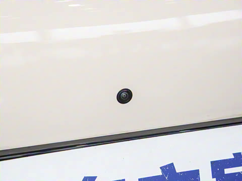 2025�� 650 ������