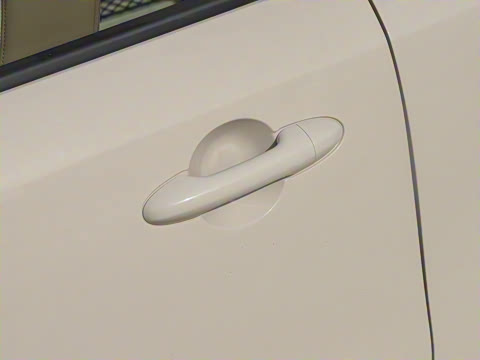 2025�� Pro 282km ���ư�