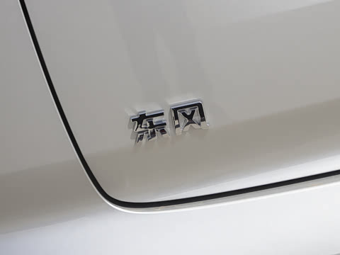 2025�� 210Max�Ǽݰ� 6��