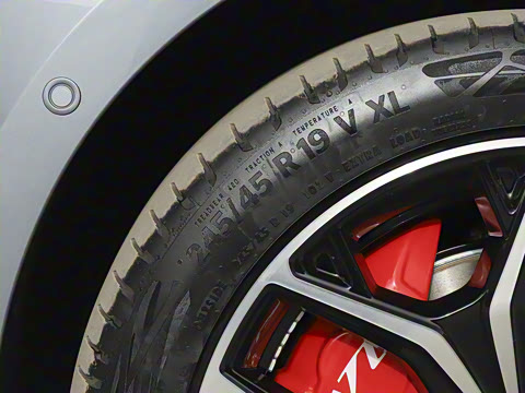 2025�� ���� 565����Max�캽��