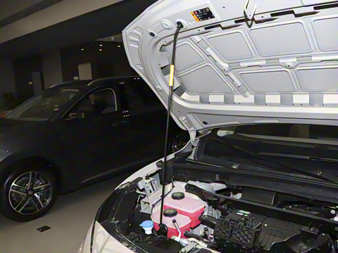 2025�� 425plus ������